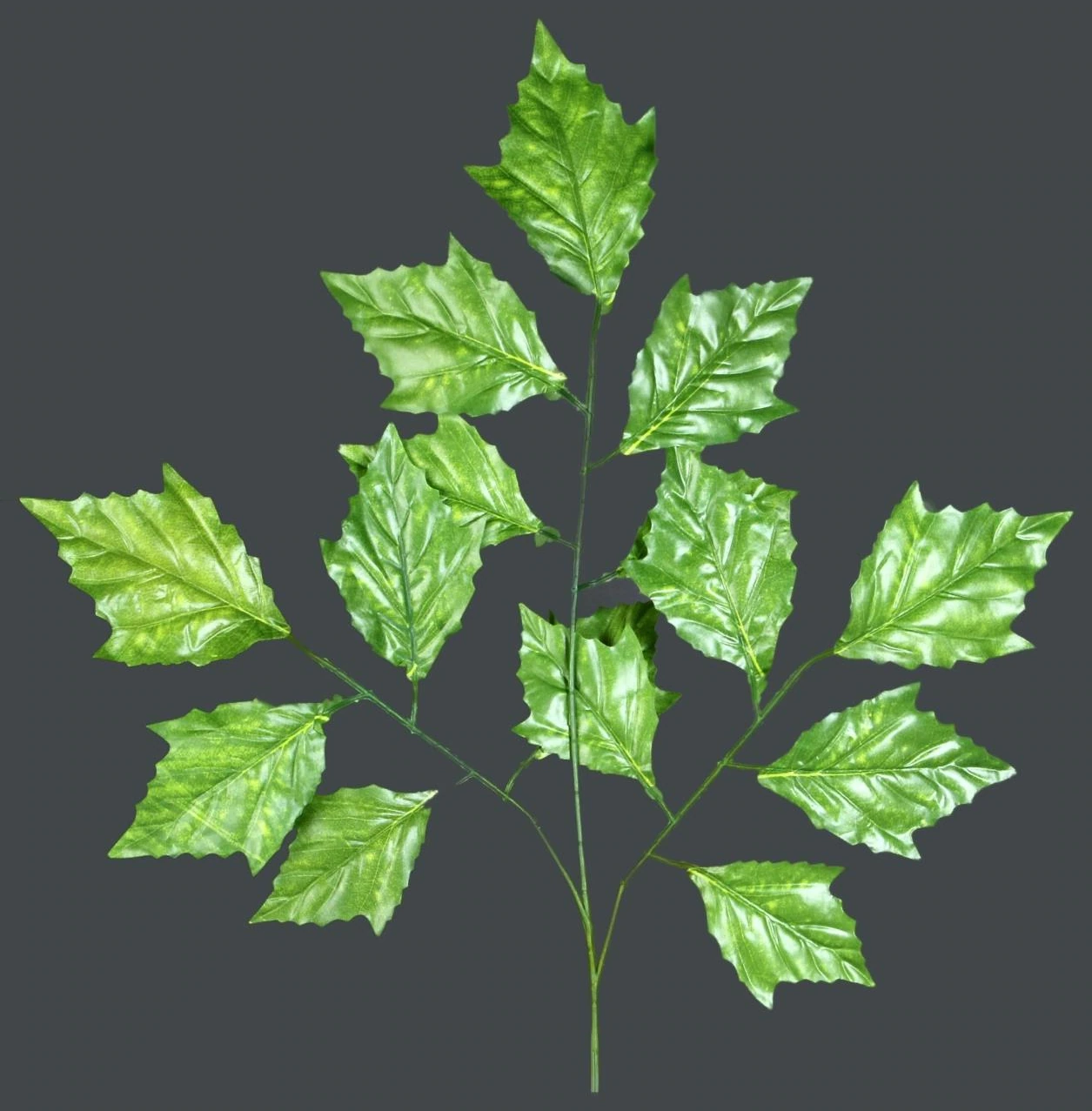 REC LIGHT GREEN SPRAY